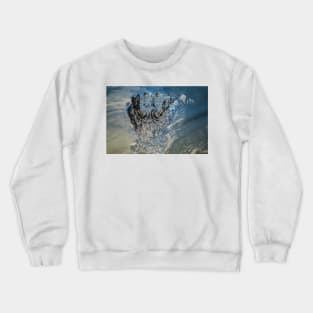 stalking alligator Crewneck Sweatshirt